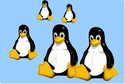 easyphp ubuntu download easyphp ubuntu download
